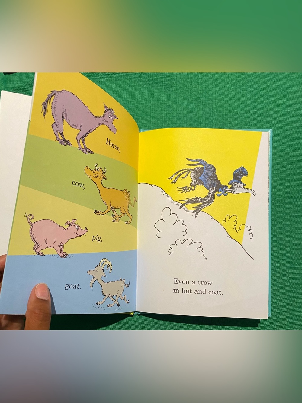 Dr. Seuss Teal & Yellow Children's Picture Book Pair - Picture 14 of 15